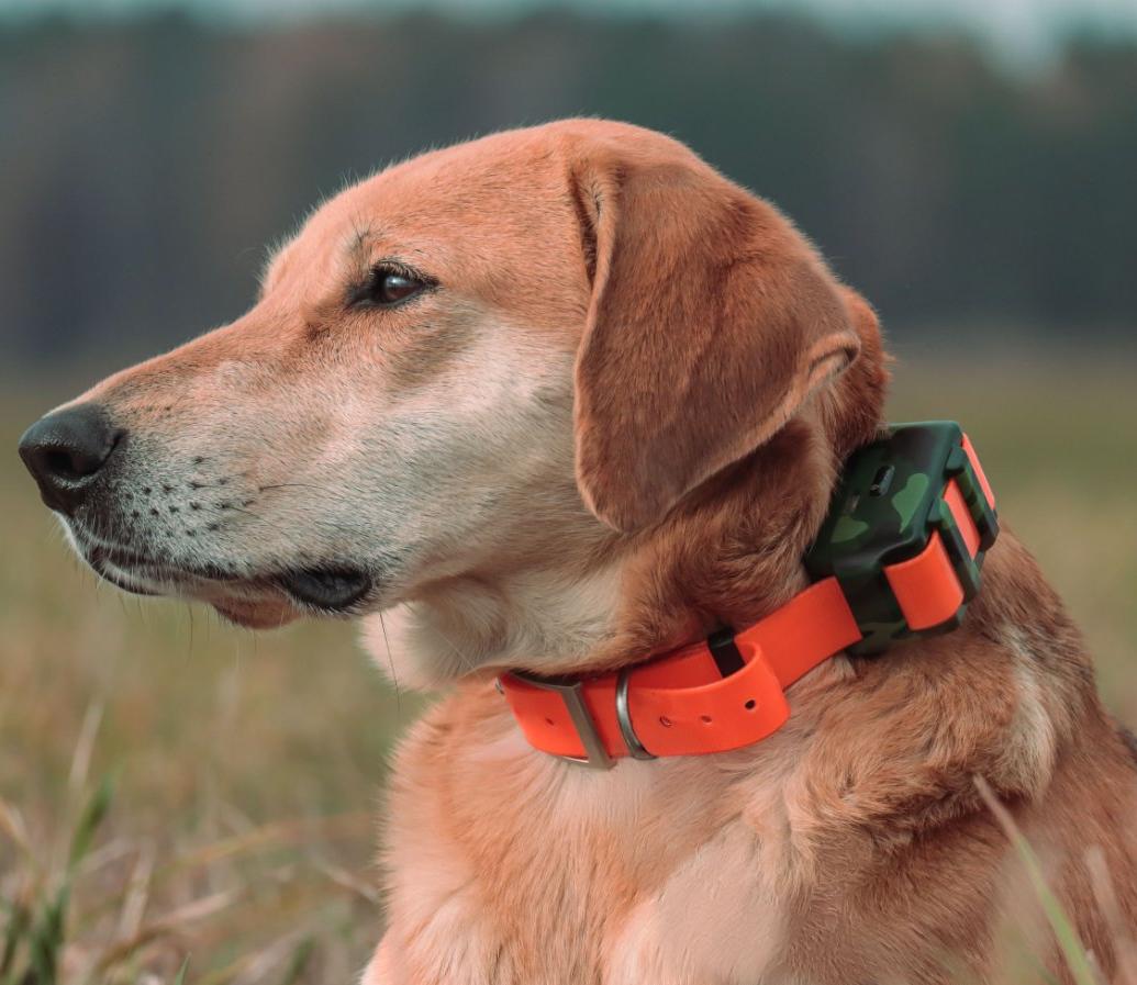 IP68防水ハンティングドッグ用ロケーター、屋外森林狩猟用リ - Outdoor Hunting Dog Collar のレビューと価格
