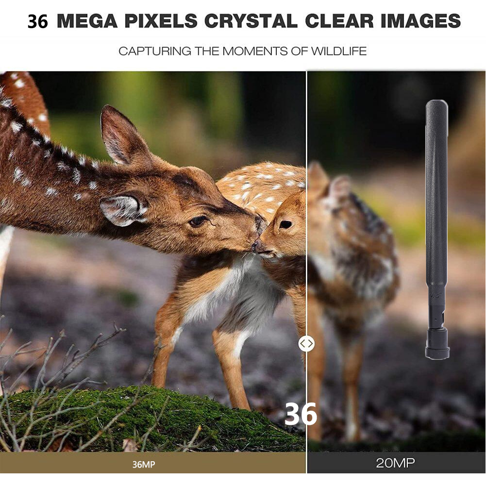 HC-801Pro アウトドアハンティングカメラ 4K画質  - Outdoor Hunting Pictures のレビューと価格
