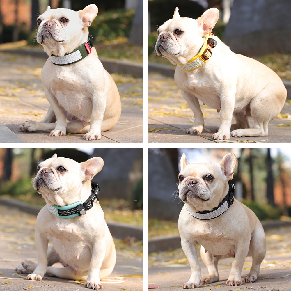 大型犬用反射機能付き屋外用犬用首輪、調節可能で窒息防止の安全 - Outdoor Hunting Dog Collar のレビューと価格