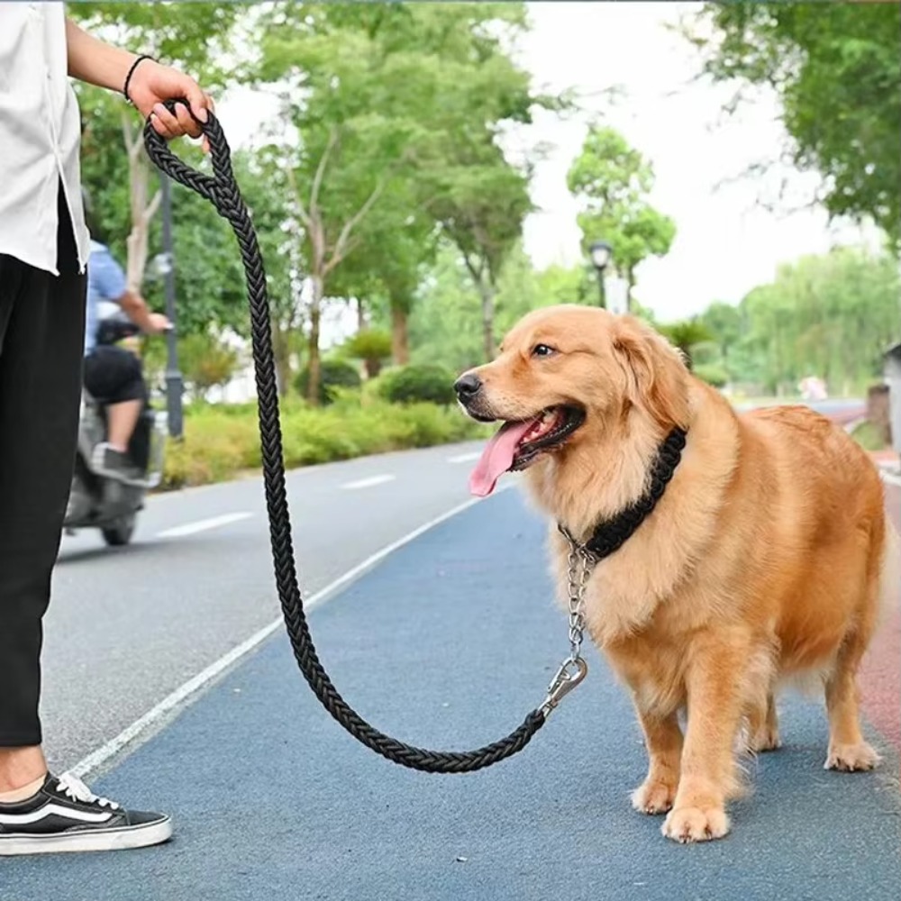 頑丈な大型犬用リード、耐久性のある編み込みナイロン製リード、 - Outdoor Hunting Dogs のレビューと価格