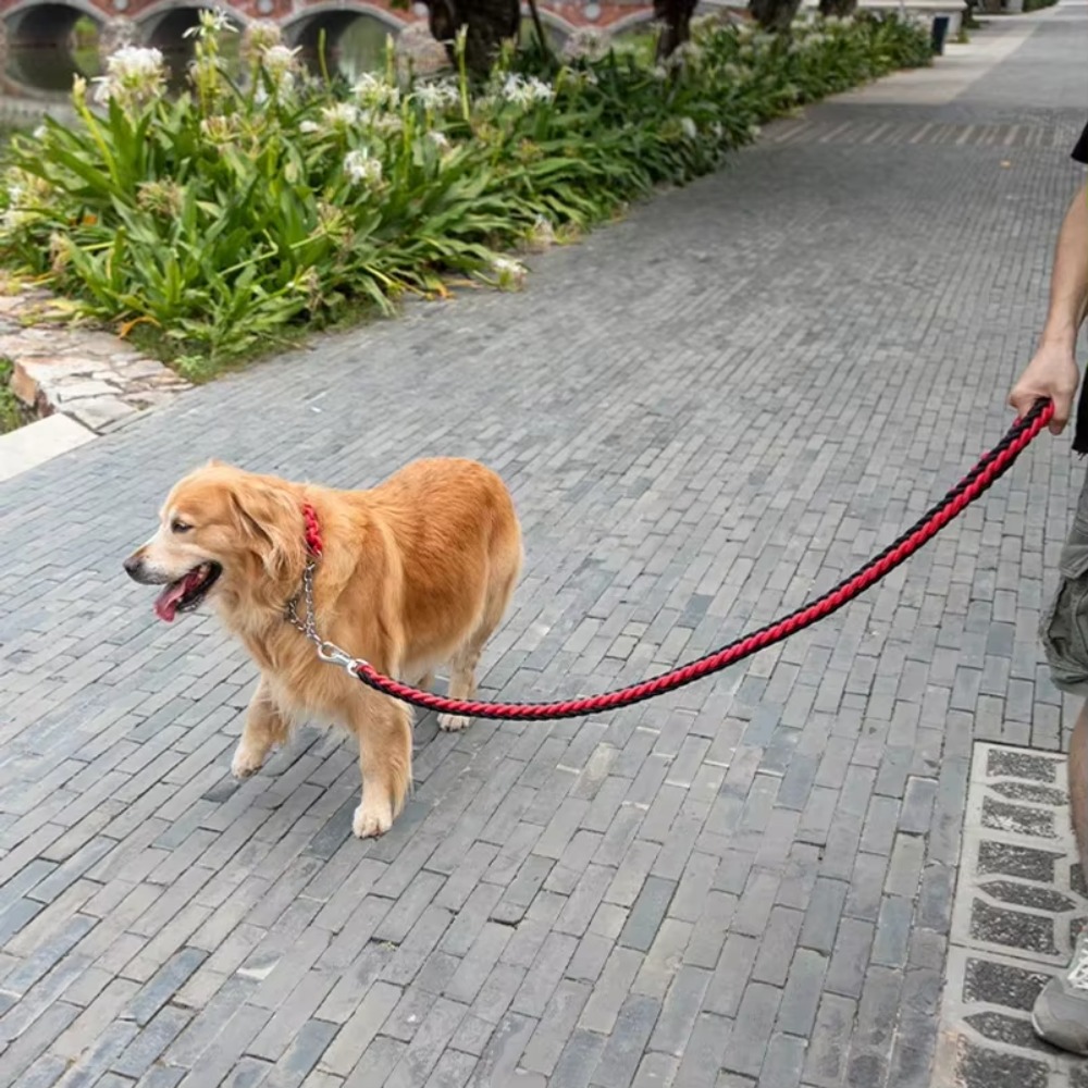 頑丈な大型犬用リード、耐久性のある編み込みナイロン製リード、 - Outdoor Hunting Dogs のレビューと価格